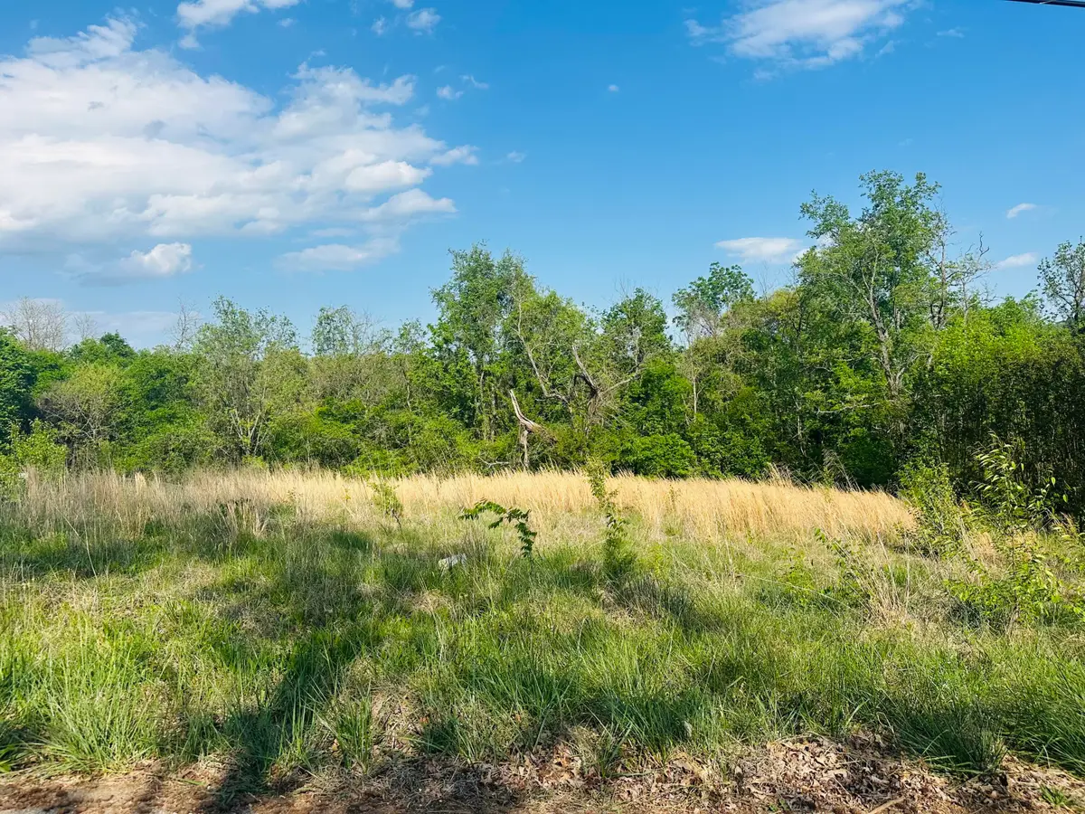 LOT #26 Ritz View Dr Drive, Blaine, TN 37709 - #1