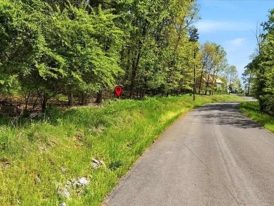 Lot 60 Chelaque Way, Mooresburg, TN 37811 - #3