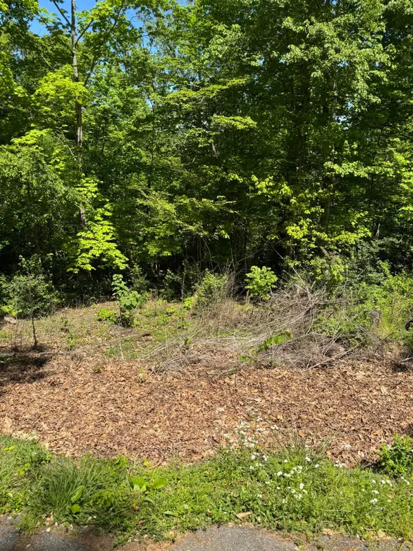Lot 44 Cliffwood Drive, Newport, TN 37821