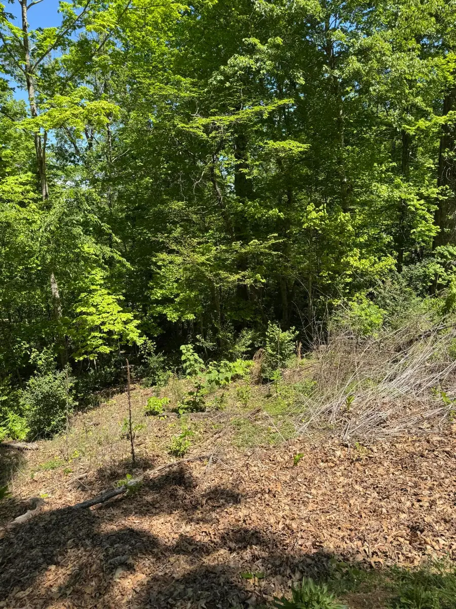 Lot 44 Cliffwood Drive, Newport, TN 37821 - #2