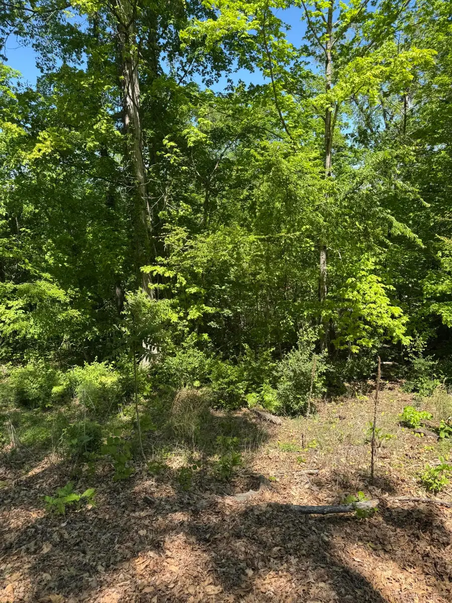 Lot 44 Cliffwood Drive, Newport, TN 37821 - #3