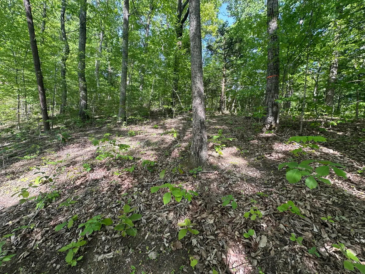 00 Deerfoot Road, Cosby, TN 37722 - #1