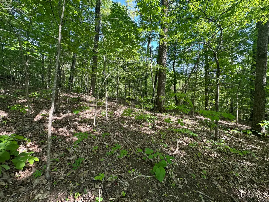 00 Deerfoot Road, Cosby, TN 37722 - #3