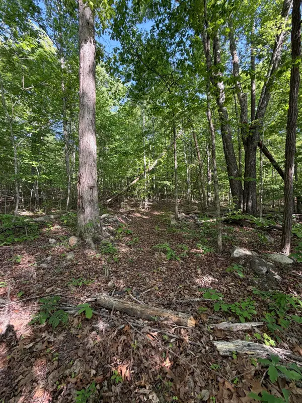 Lot 39 Cardinal Drive, Newport, TN 37821