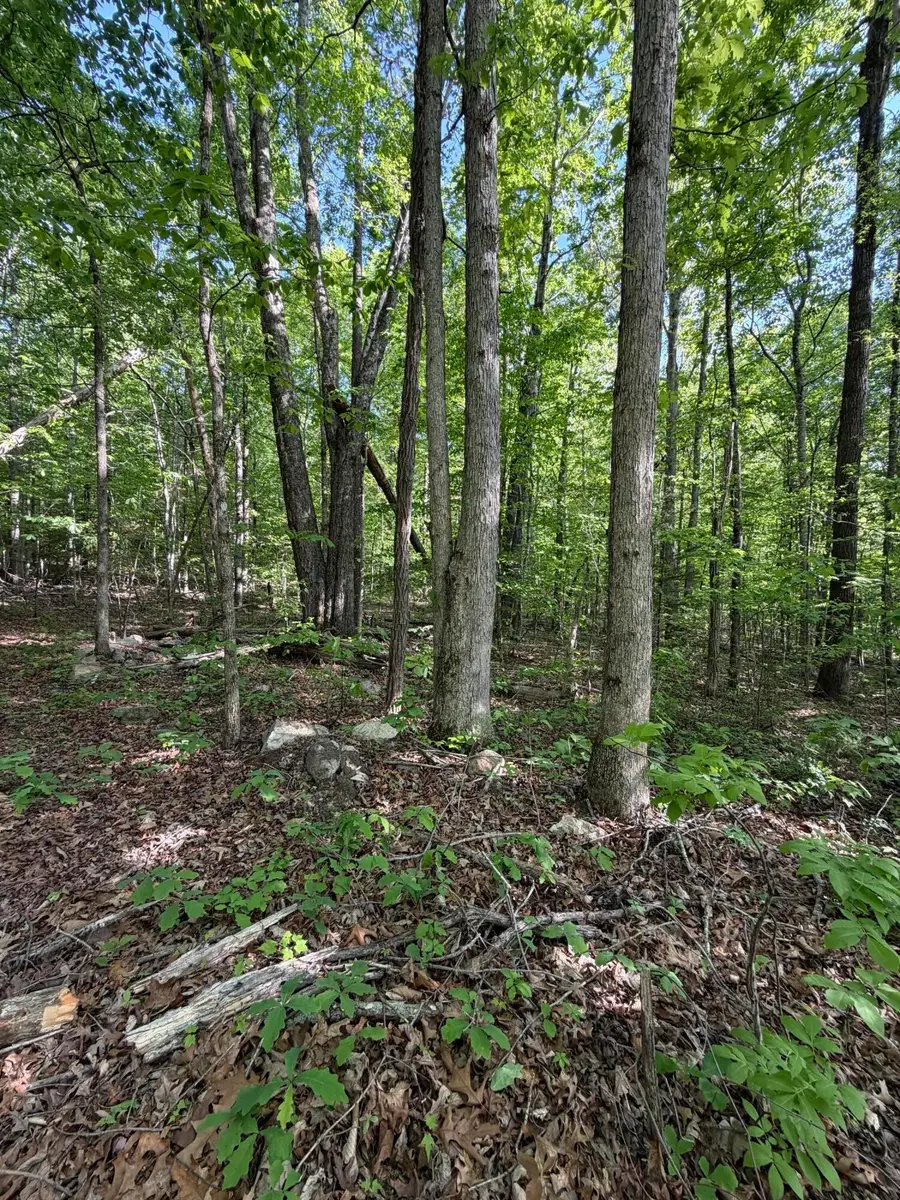 Lot 39 Cardinal Drive, Newport, TN 37821 - #2