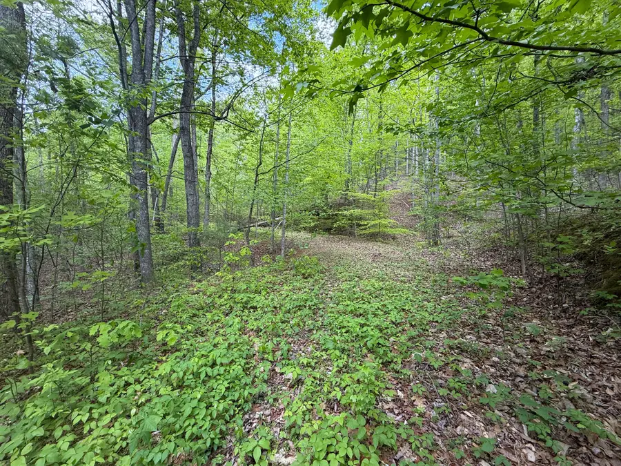 15.04 James Branch Road, Newport, TN 37821 - #3