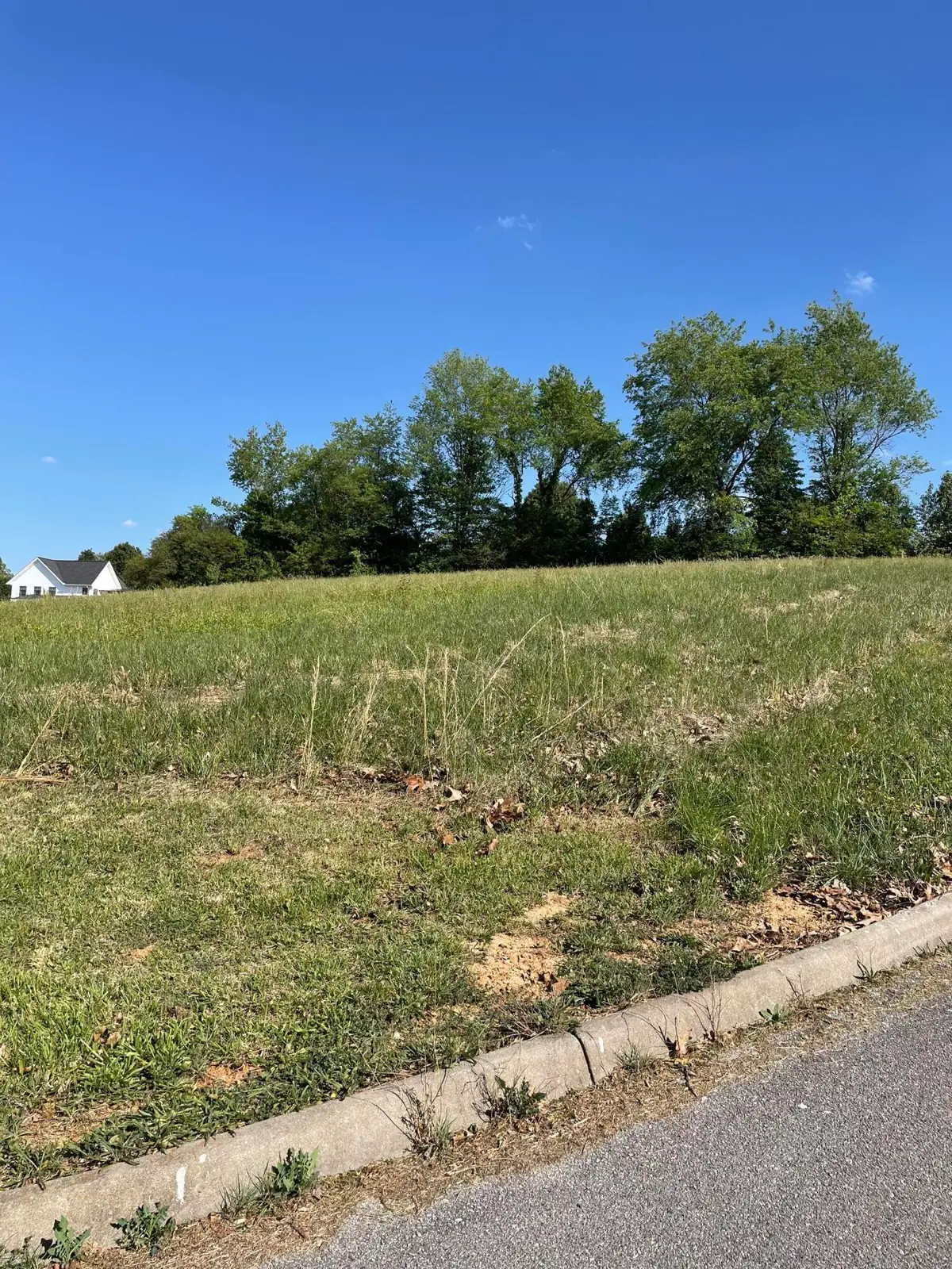 1180 George Byrd, Morristown, TN 37813 - #1