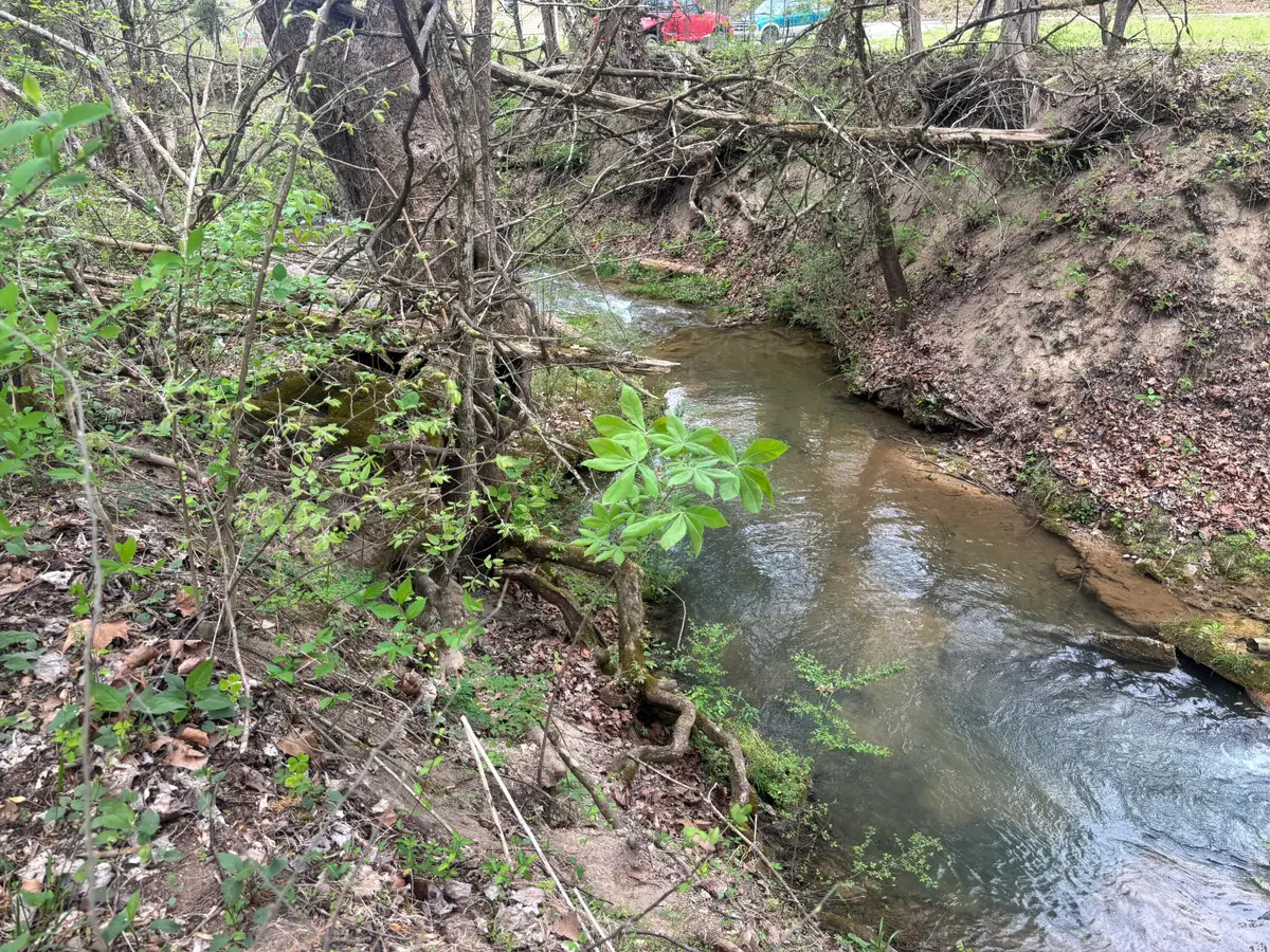 4165 Whitehouse Road, Greeneville, TN 37745 - #1