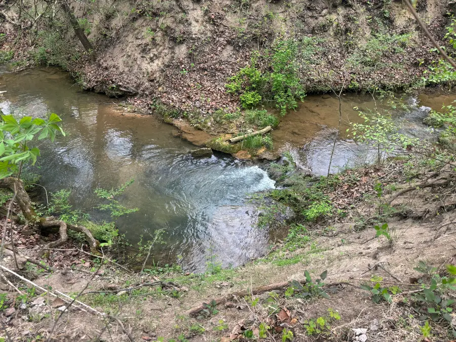 4165 Whitehouse Road, Greeneville, TN 37745 - #2