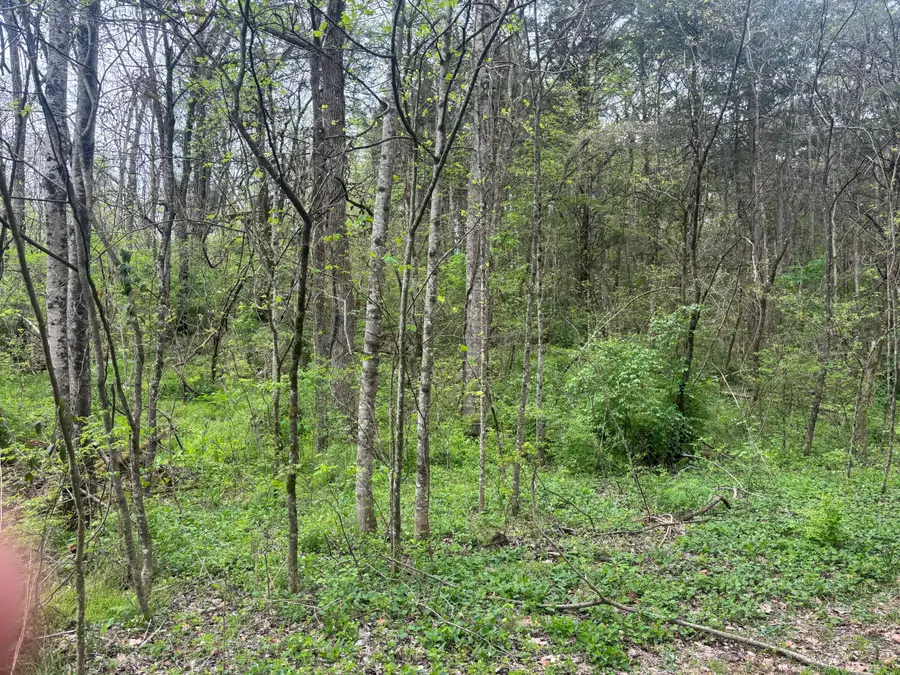 4165 Whitehouse Road, Greeneville, TN 37745 - #3