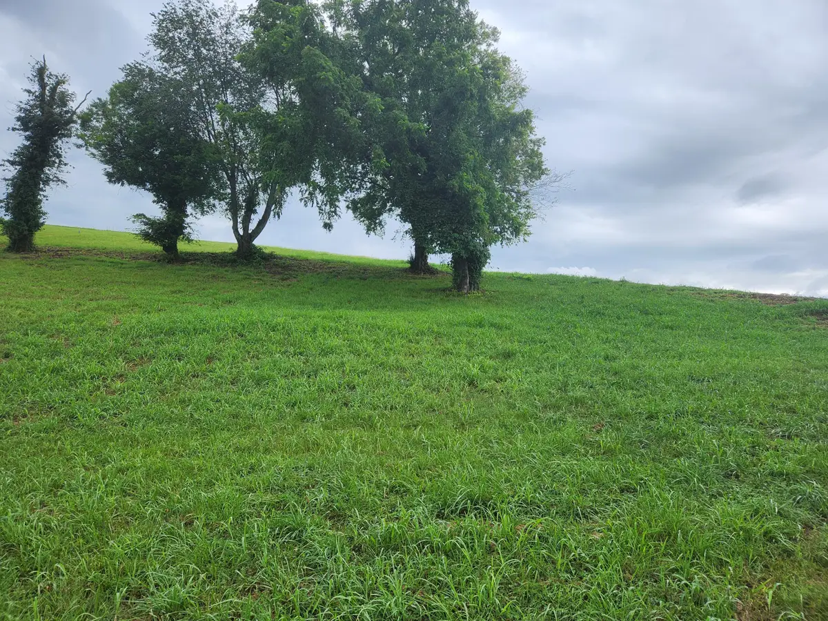 2257 Windswept Way, Morristown, TN 37814 - #1