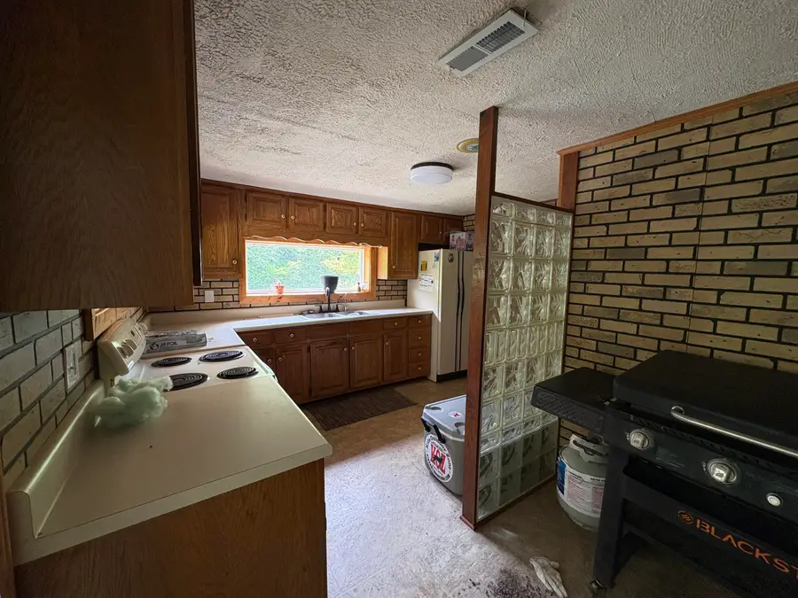 2455 Ray Hollow Road, Dandridge, TN 37725 - #3