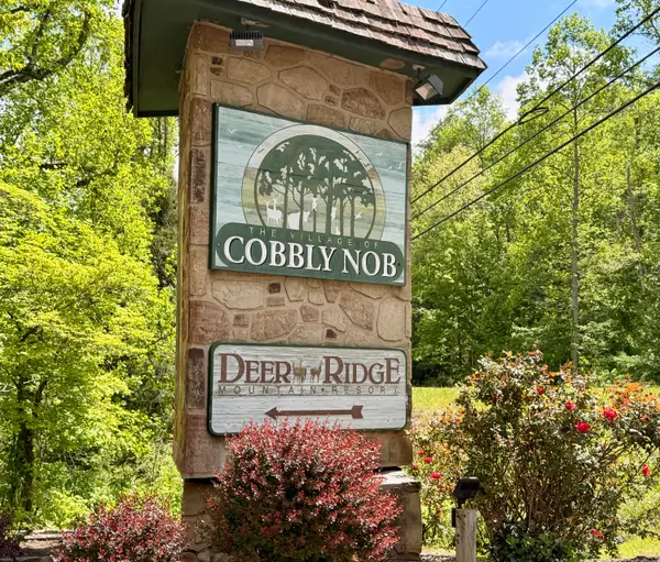 0 Black Gum Gap Road, Gatlinburg, TN 37738