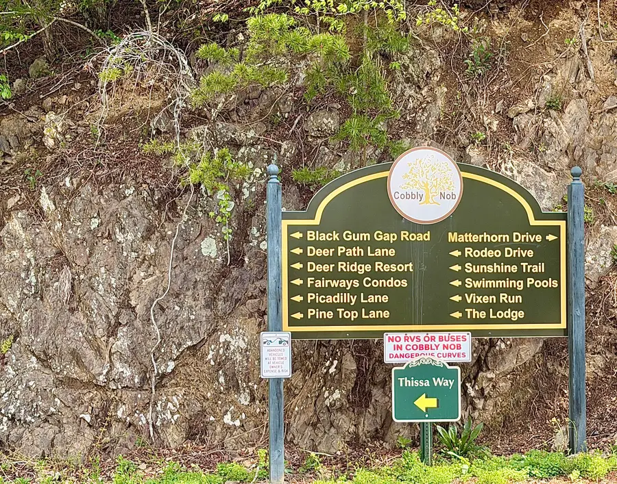 0 Black Gum Gap Road, Gatlinburg, TN 37738 - #3