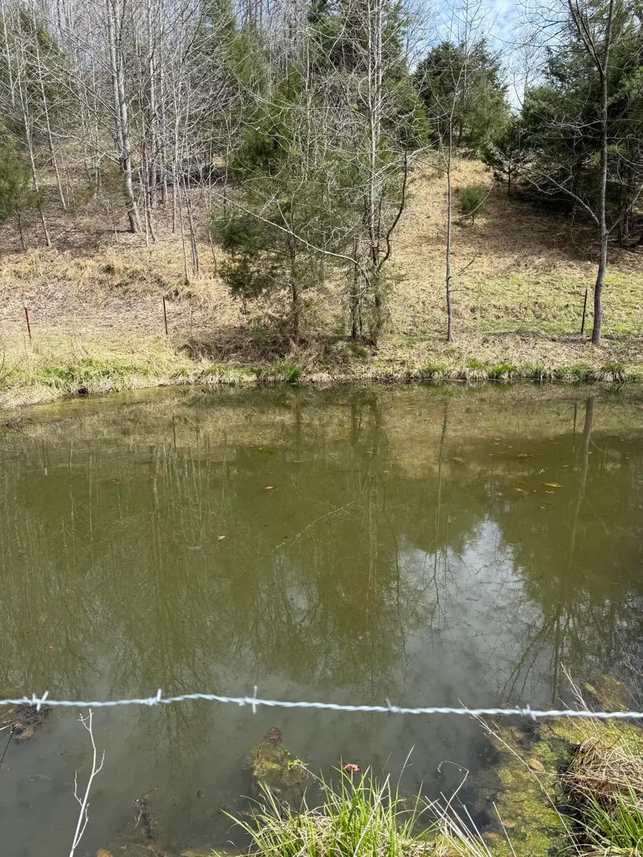 0 Kyles Ford (12 Acres) Highway, Kyles Ford, TN 37765 - #2