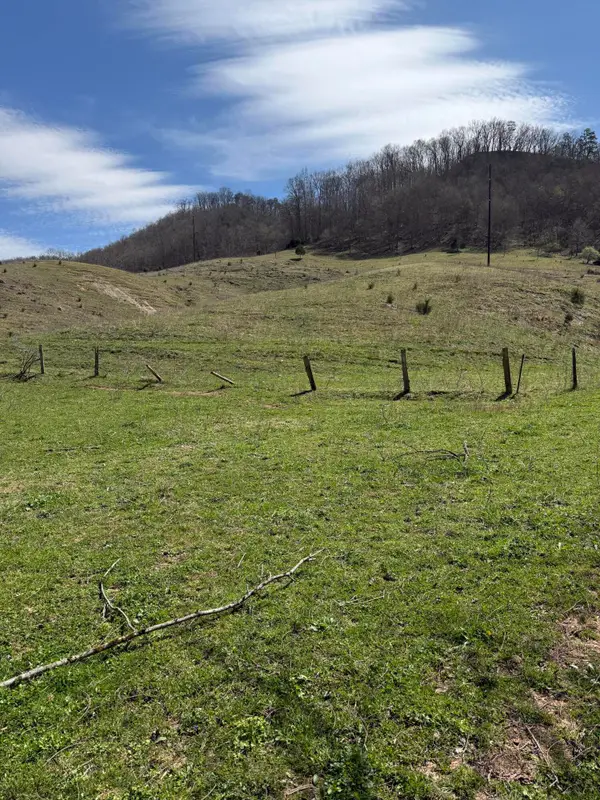 0 Kyles Ford (12 Acres) Highway, Kyles Ford, TN 37765