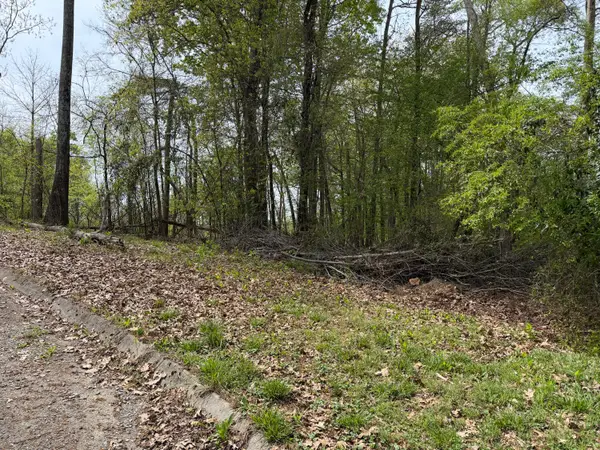 Lot 6 John Spears Way, Sevierville, TN 37876