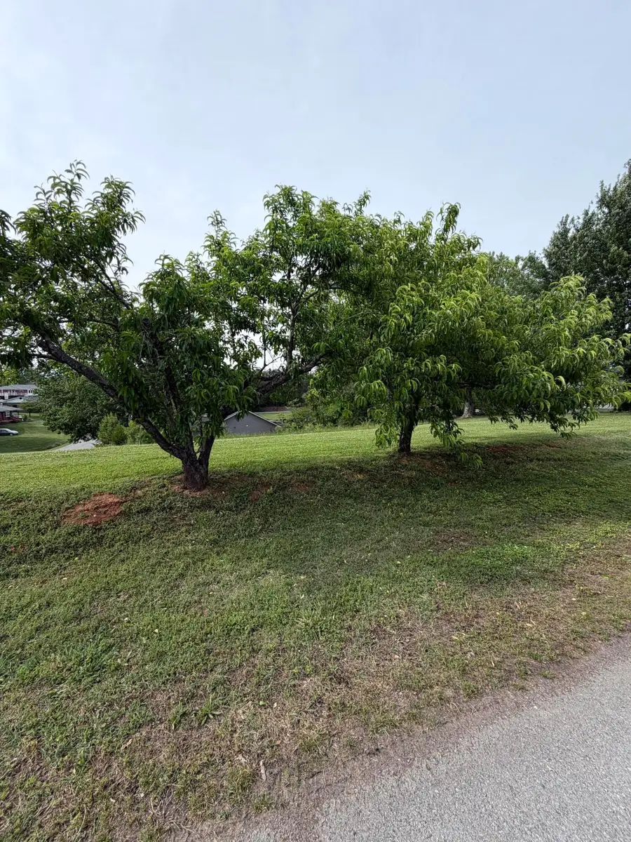 Lot 47 Buckingham Drive, Newport, TN 37821 - #2