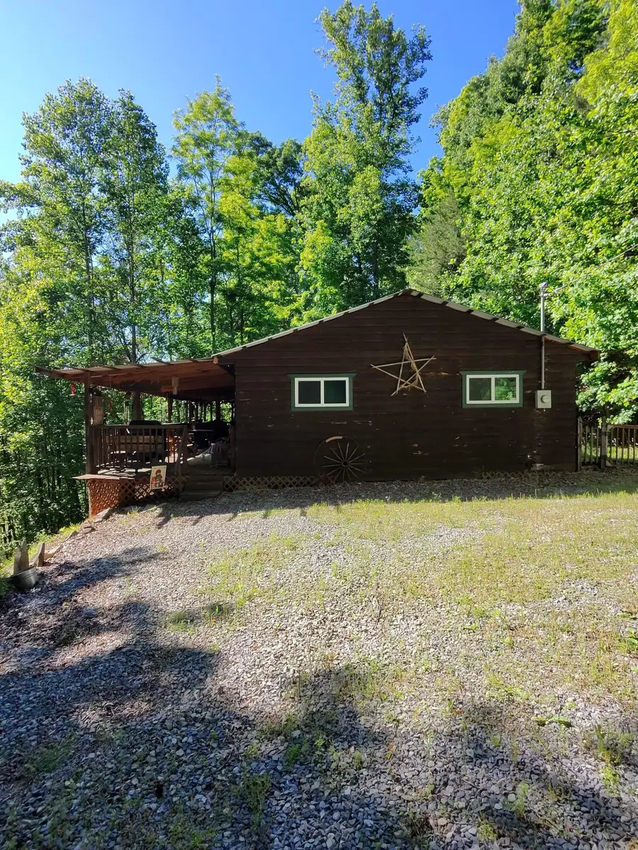 228 High Country Way, Cosby, TN 37722 - #3