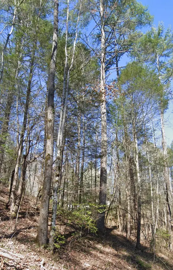 Lot 38 Black Walnut Flats Road, Sevierville, TN 37862