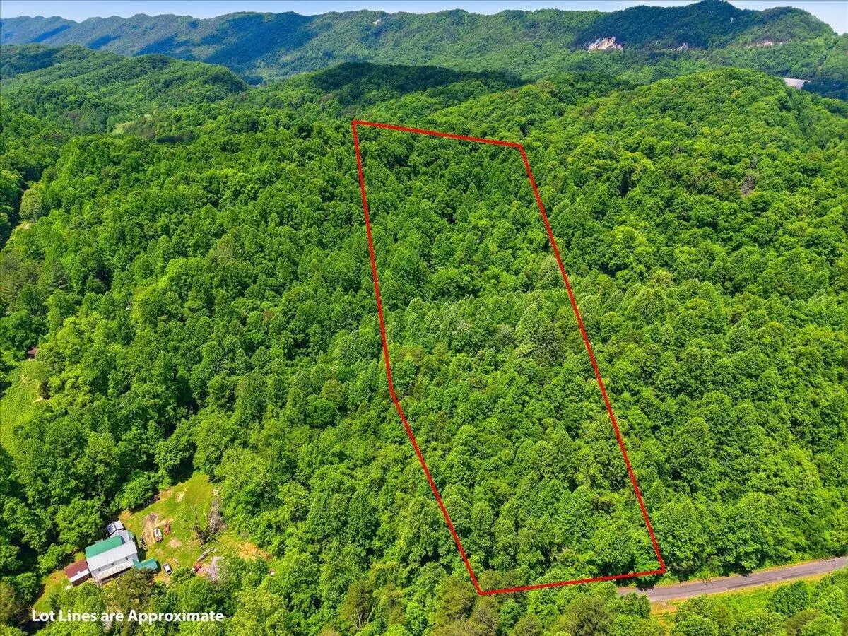 143 Rogers Road, Rogersville, TN 37857 - #1