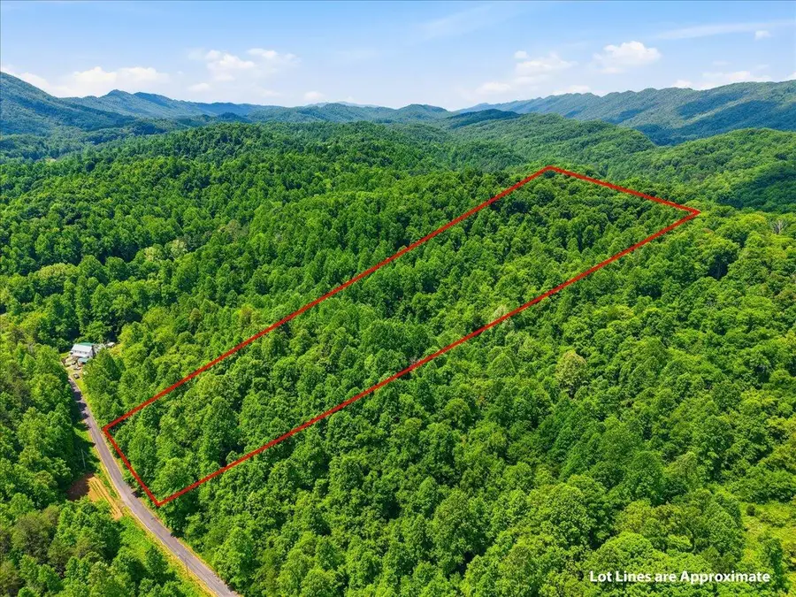 143 Rogers Road, Rogersville, TN 37857 - #3