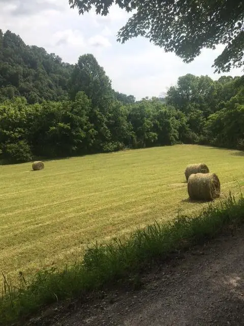 00 Hatfield Road, Tazewell, TN 37879