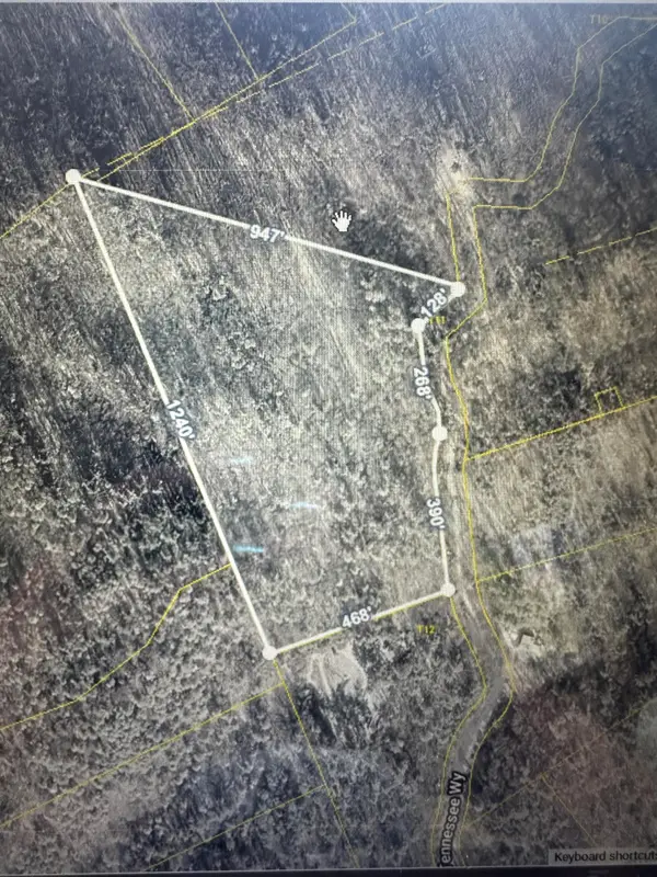 00 Tennessee Way, Del Rio, TN 37727