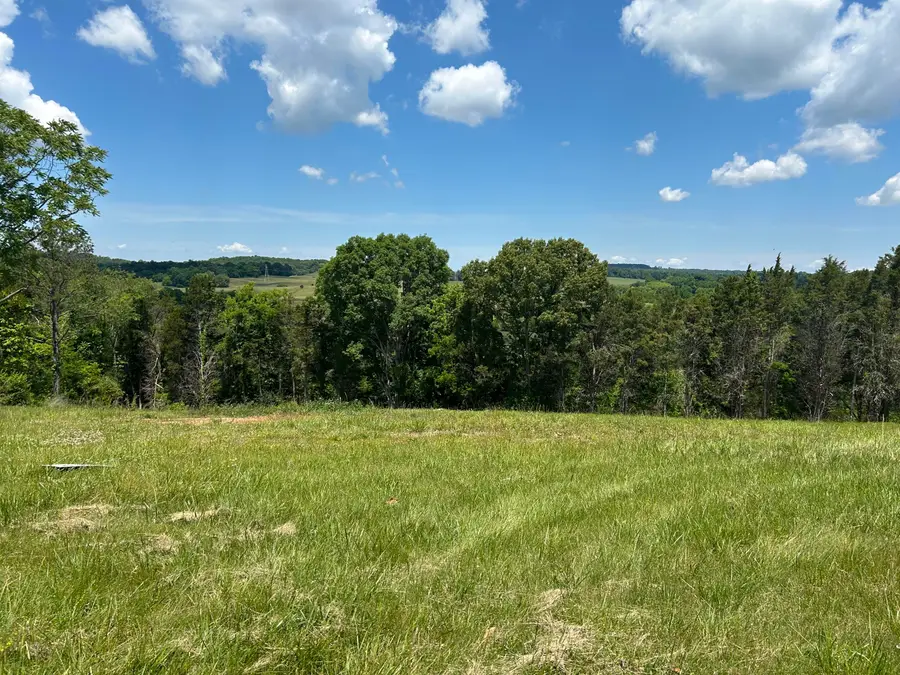 Lot 10 Esther Court, Dandridge, TN 37725 - #3