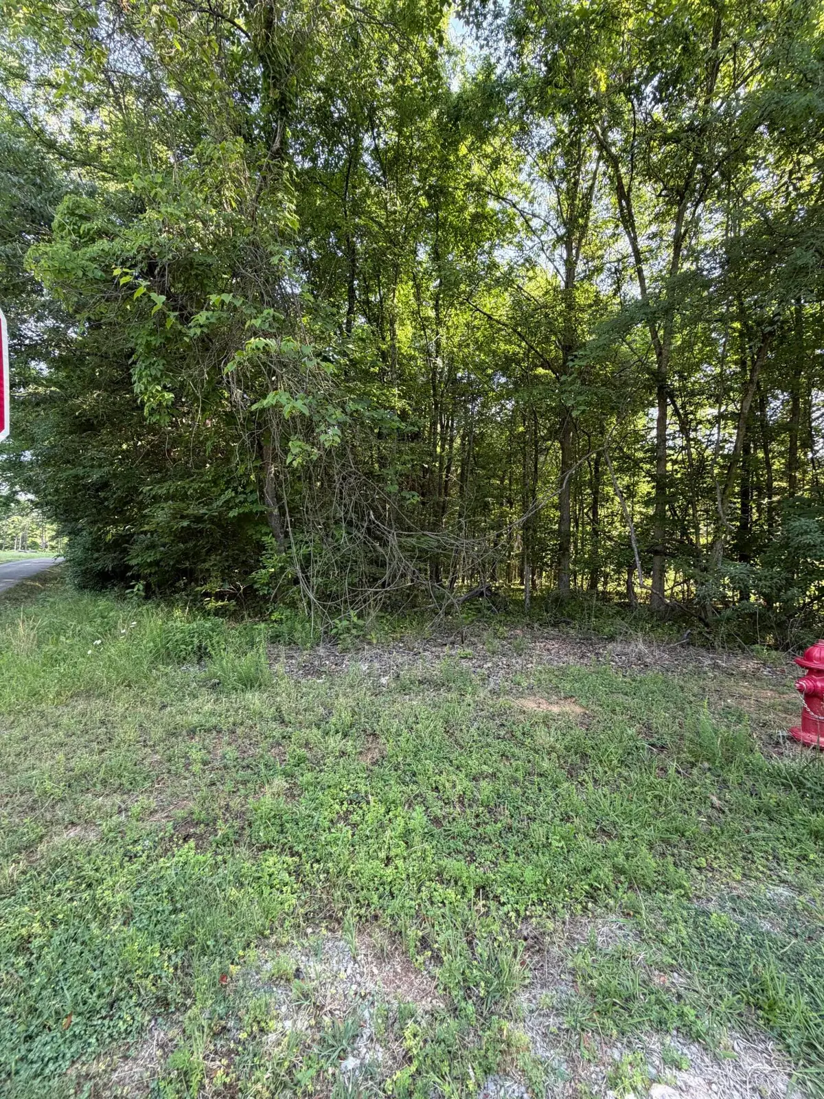 Lot 1023 Cove, Baneberry, TN 37890 - #1