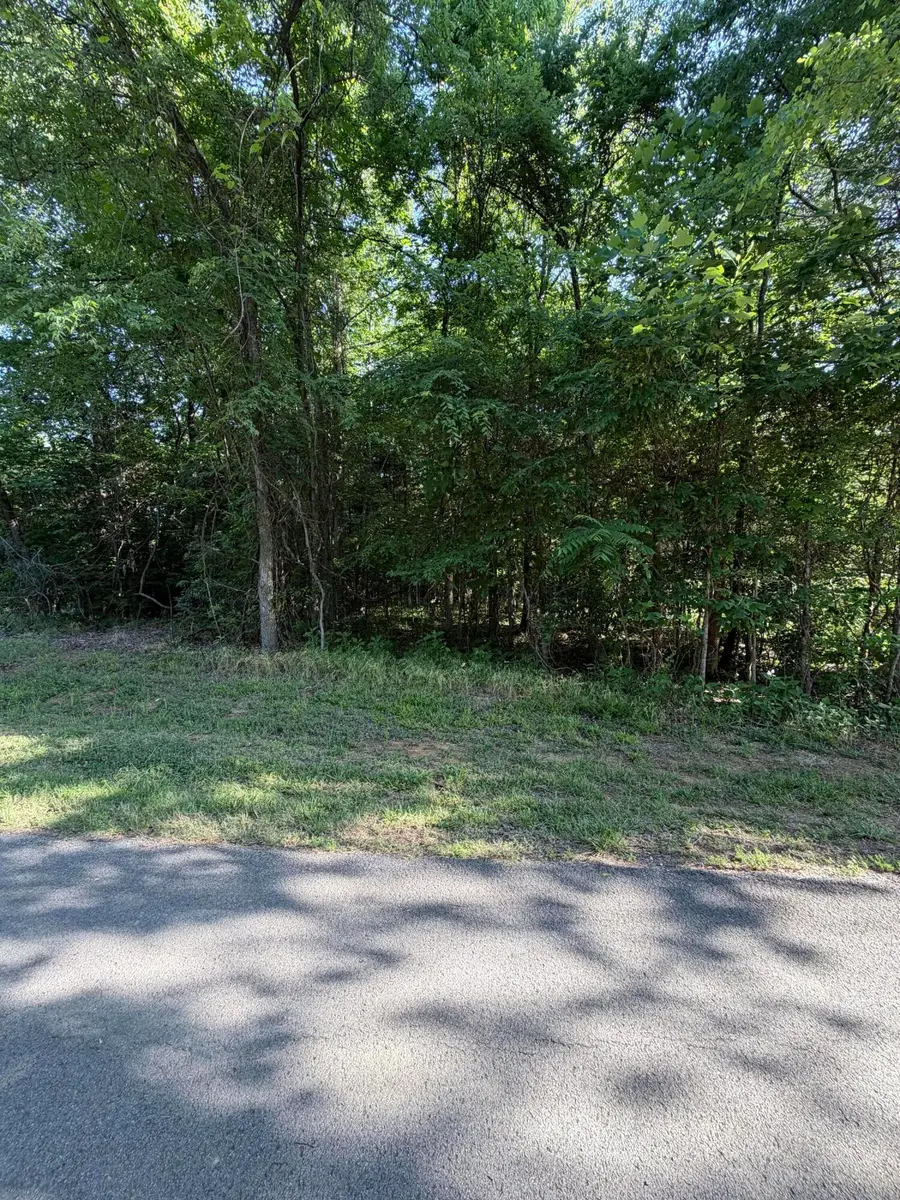 Lot 1023 Cove, Baneberry, TN 37890 - #3