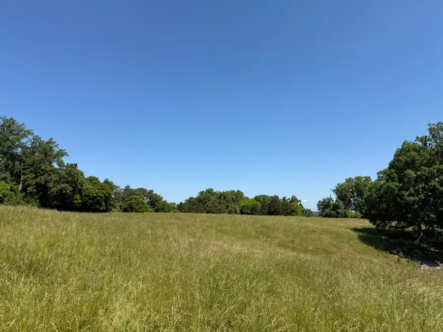 TBD Ball Road, White Pine, TN 37890 - #3