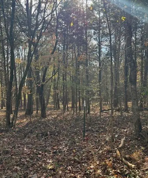Lot 1031 Meadow Court, Baneberry, TN 37890