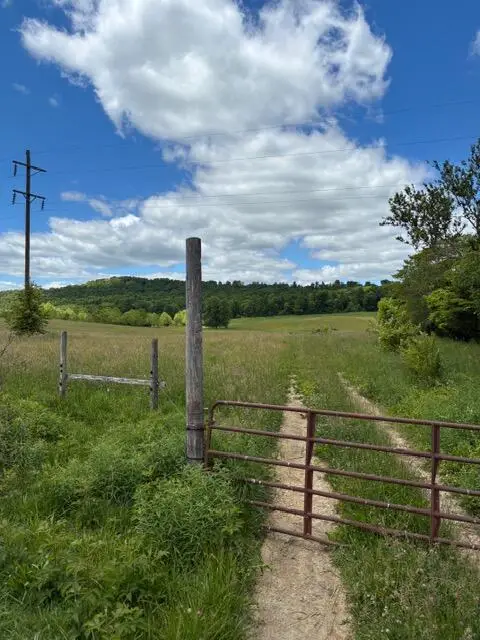 4110 Clinch Valley Road, Thorn Hill, TN 37881 - #3