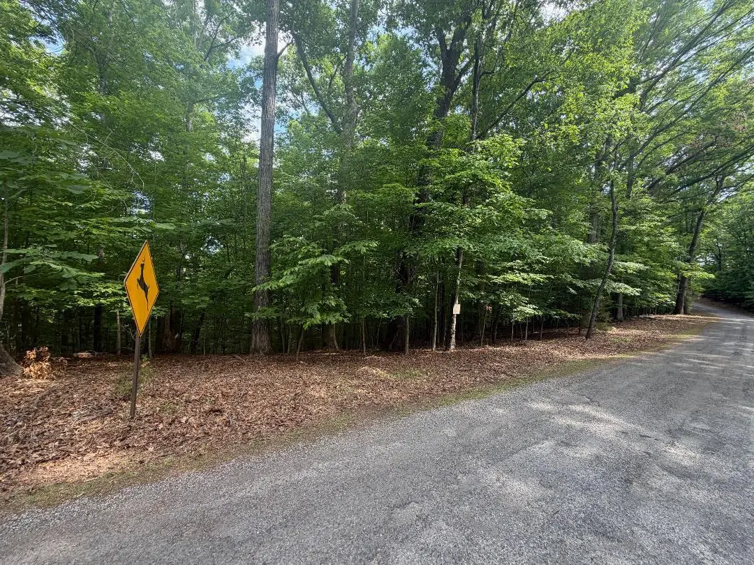 03A Beechwood Drive, Dandridge, TN 37725 - #1