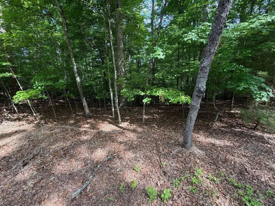 03A Beechwood Drive, Dandridge, TN 37725 - #2