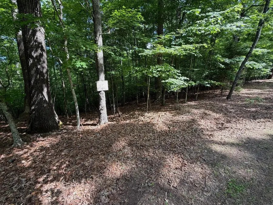 03A Beechwood Drive, Dandridge, TN 37725 - #3