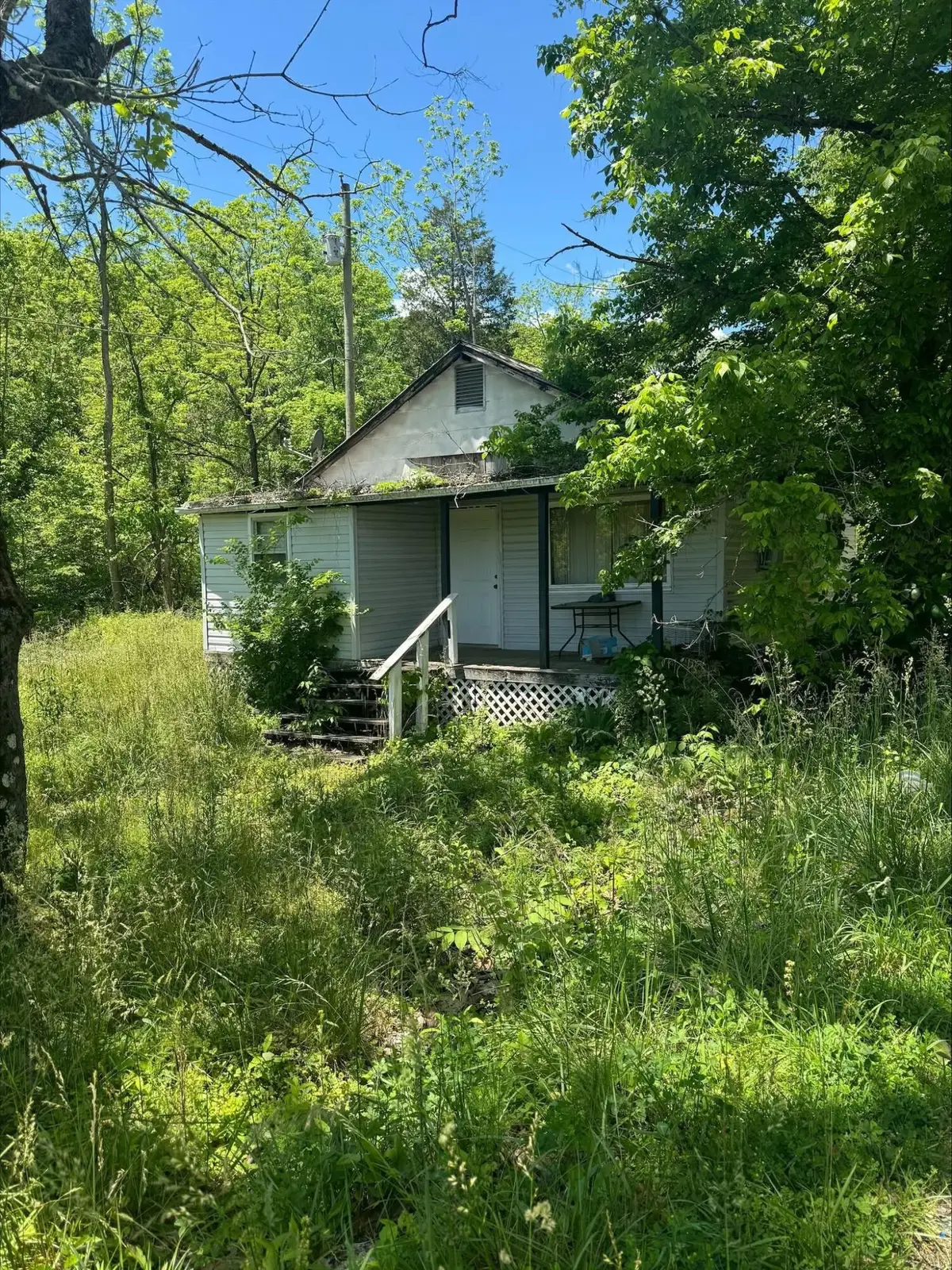 907 Lloyds Chapel Road, Church Hill, TN 37642 - #1