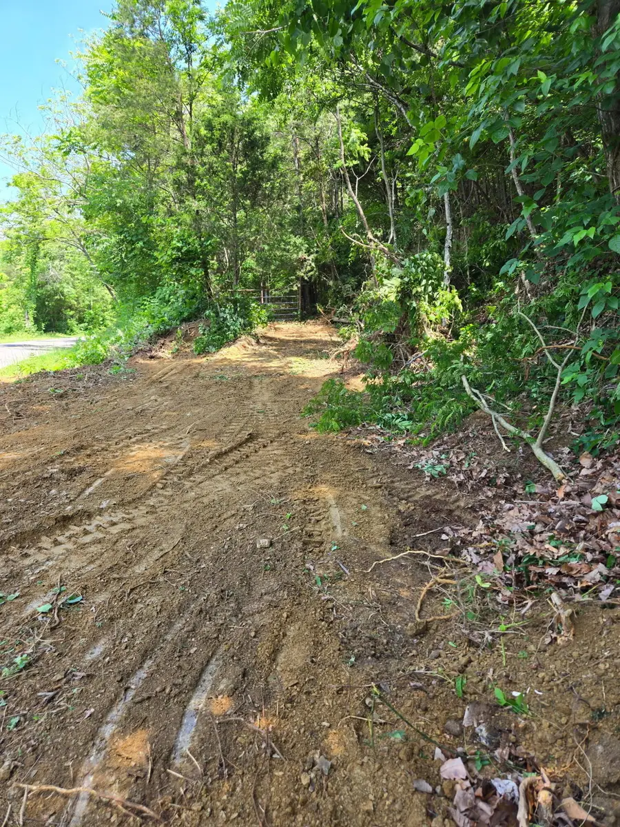 00 S Rushy Springs Road, Talbott, TN 37877 - #2