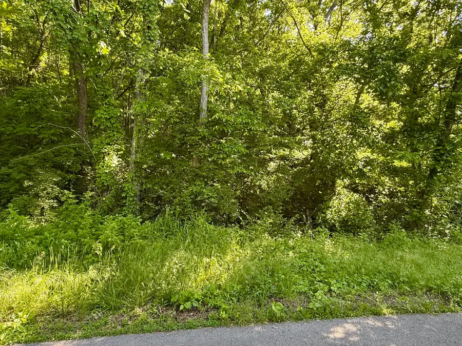00 S Rushy Springs Road, Talbott, TN 37877 - #3