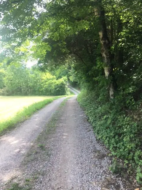 00 Hatfield Road, Tazewell, TN 37879 - #2