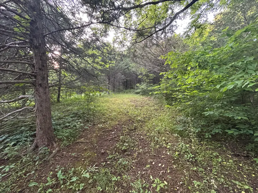 000 Tazewell Highway, Sneedville, TN 37869 - #2