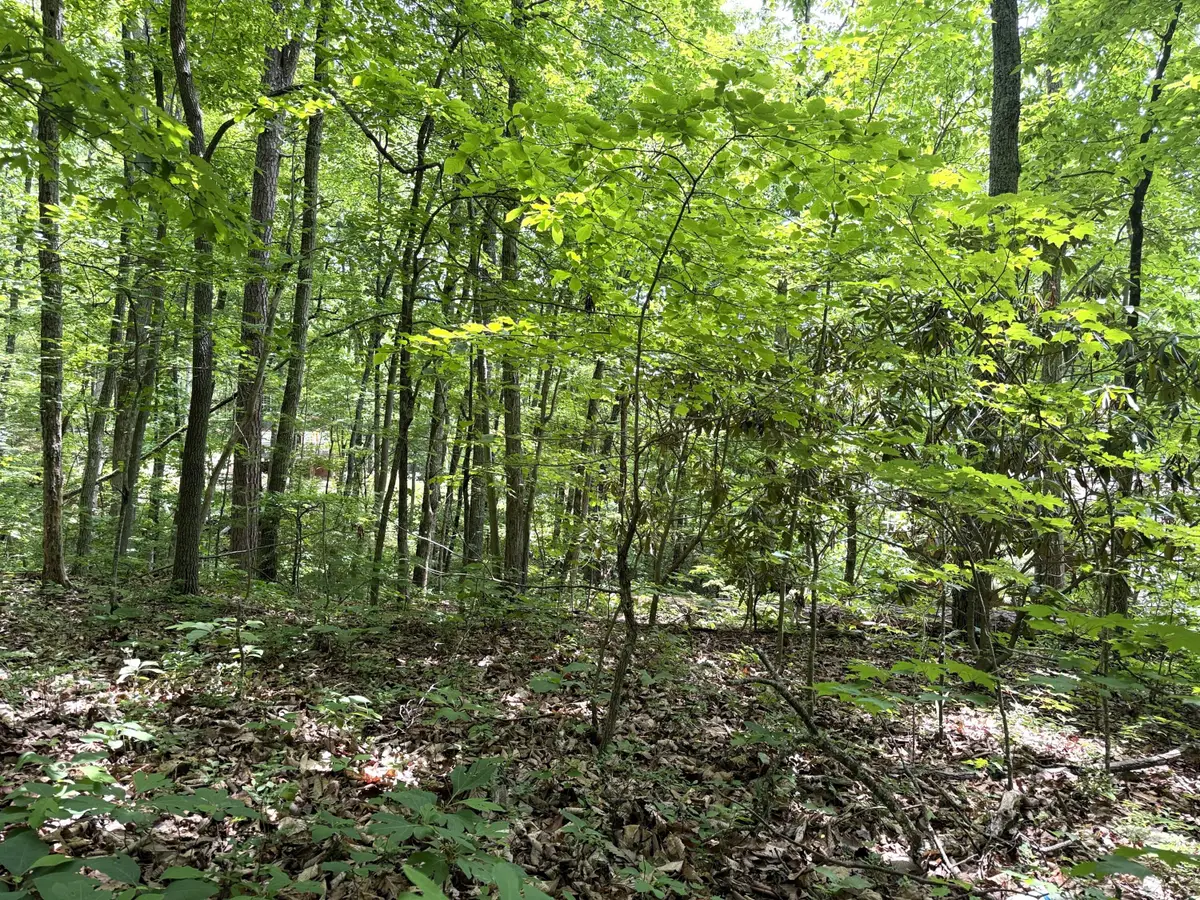 0 Swan Saddle, Sevierville, TN 37876 - #1