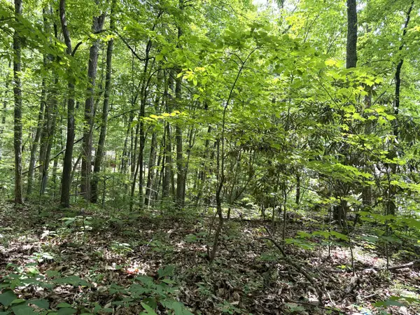 0 Swan Saddle, Sevierville, TN 37876