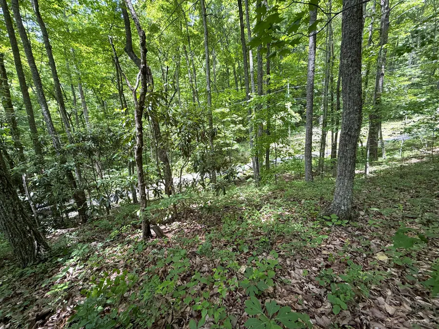 0 Swan Saddle, Sevierville, TN 37876 - #2