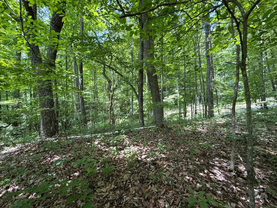 0 Swan Saddle, Sevierville, TN 37876 - #3