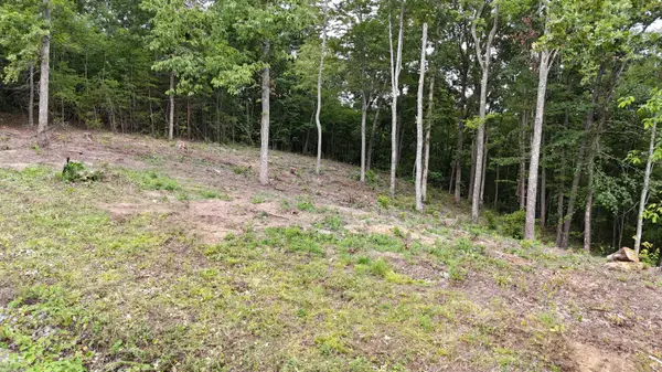Lot 44 Bayside Boulevard, Bean Station, TN 37708