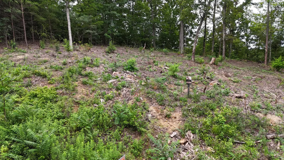 Lot 42 Bayside Boulevard, Bean Station, TN 37708 - #1