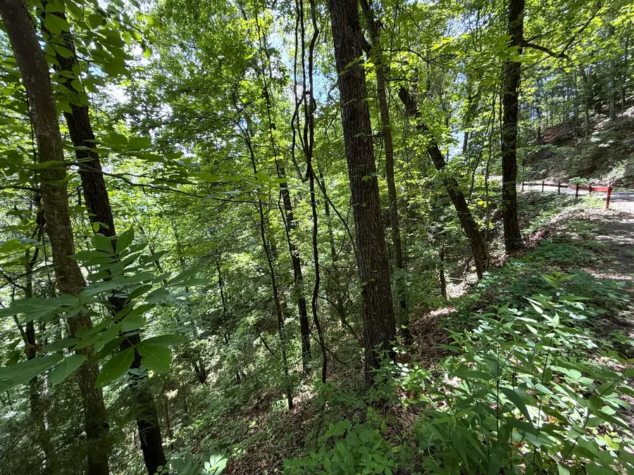Lot 10 Aintree Drive, Sevierville, TN 37876 - #3