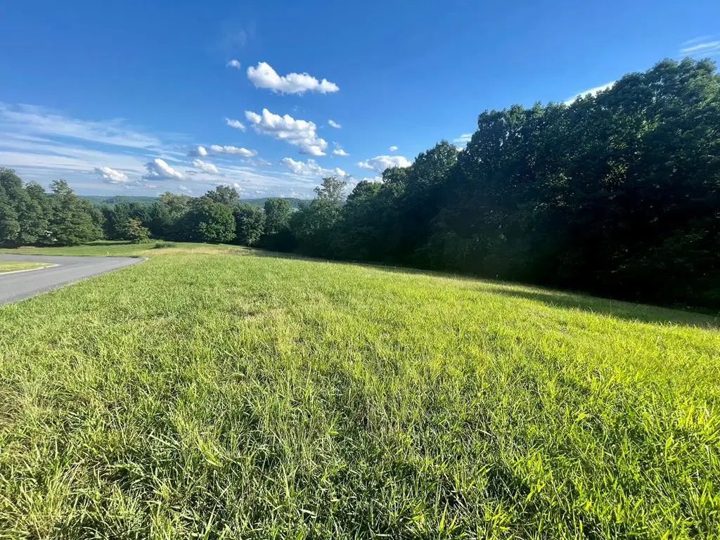 LOT 181 Harbor View, Mooresburg, TN 37811 - #1